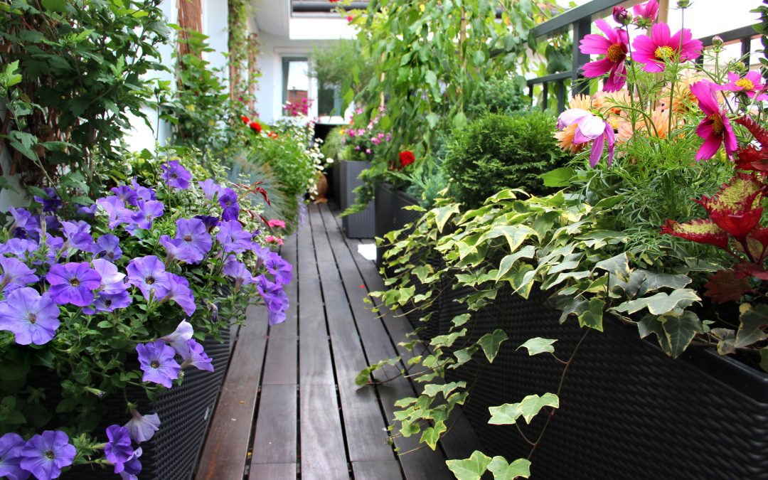 How to Improve Drainage in Container Gardening Soil
