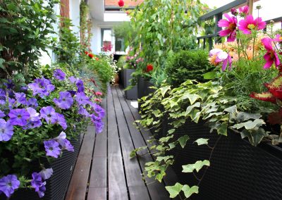 How to Improve Drainage in Container Gardening Soil