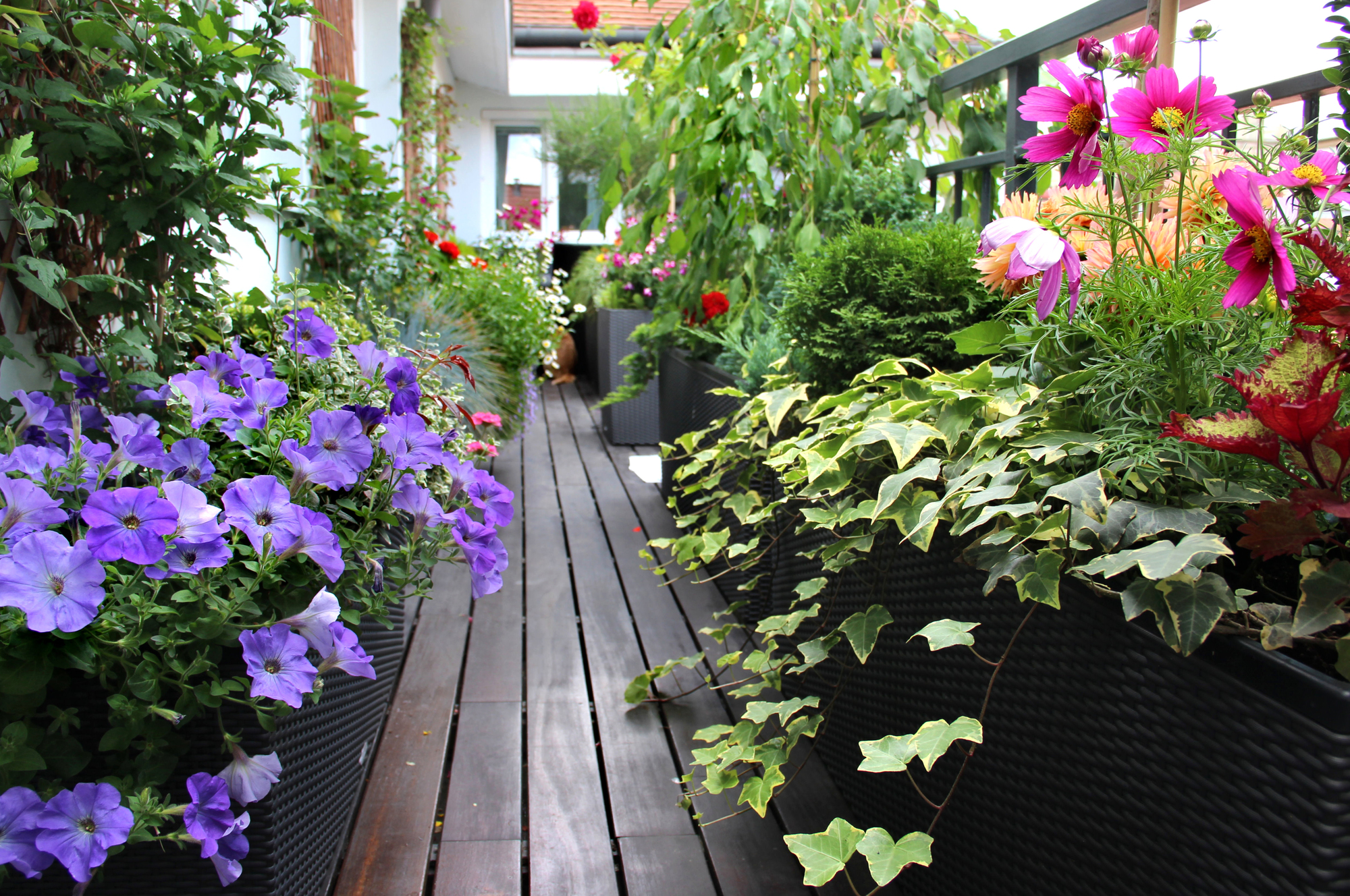 How to Improve Drainage in Container Gardening Soil