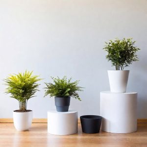 Tips for Setting Up Large Containers