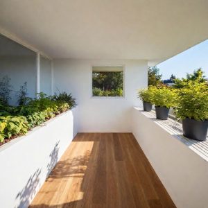 Assess Your Light Conditions