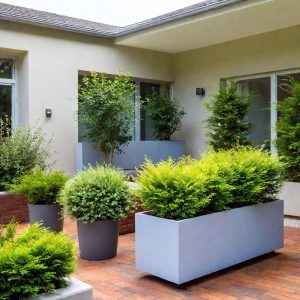 Consider Plant Growth Habits to Maximize Space