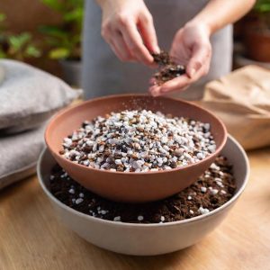 Mix in Perlite, Sand, or Grit for Extra Drainage
