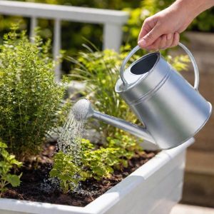 Water Strategically to Avoid Over-Saturating Soil